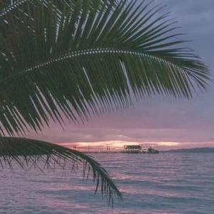 足控脚交❌❌❌视频国产
